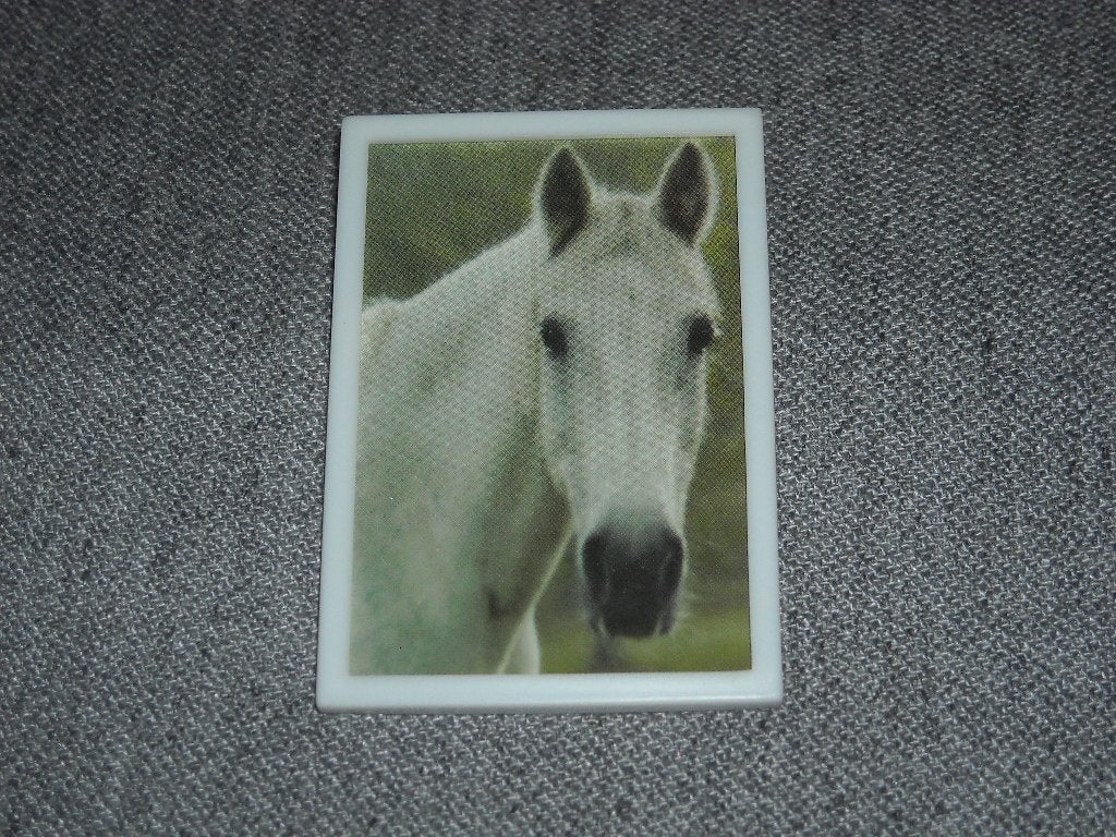 Lundby fotolijst 'paard', Verzamelen, Poppenhuizen en Toebehoren, Ophalen of Verzenden, Zo goed als nieuw
