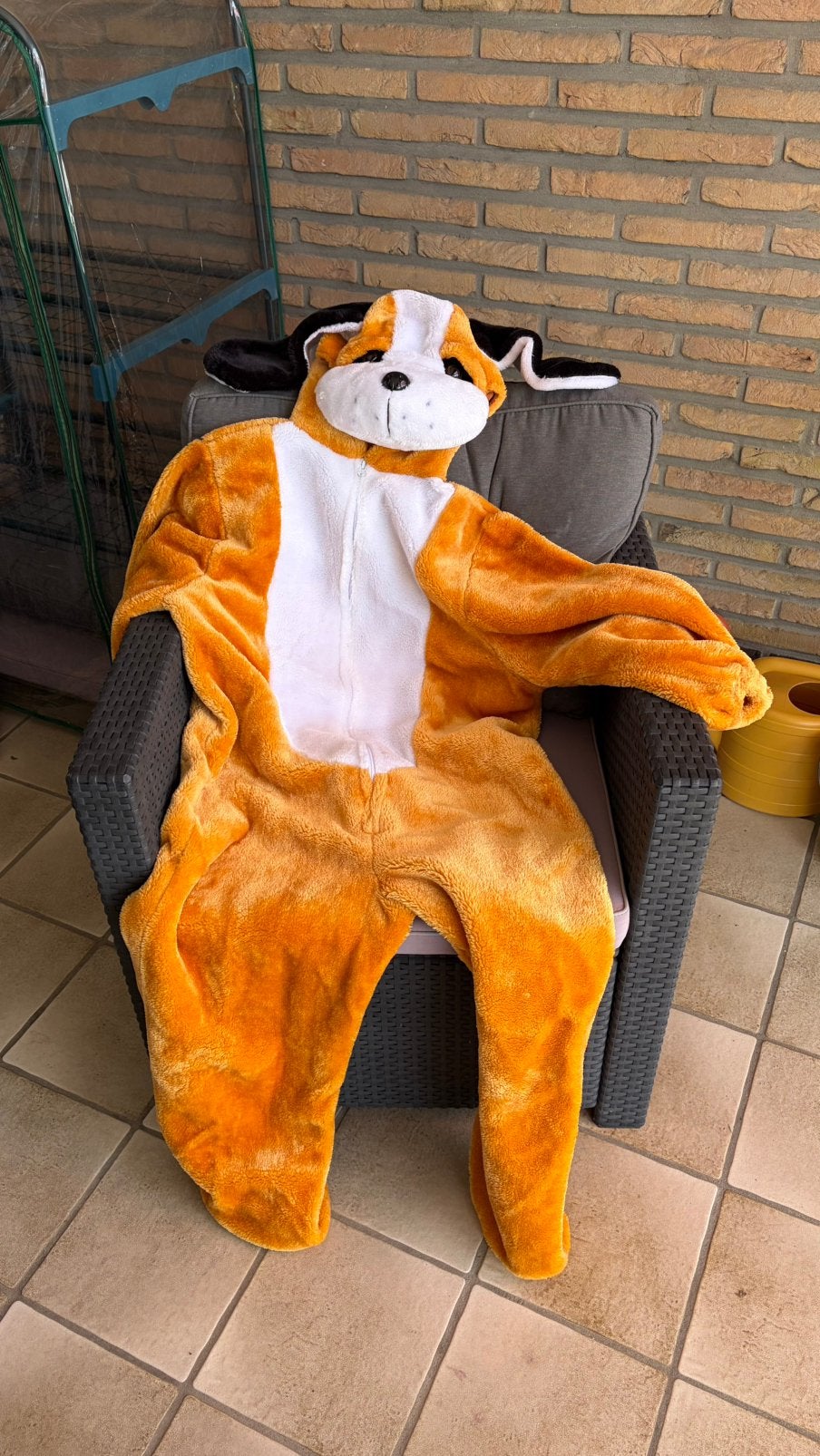 hond onesie maat 164, Ophalen, Zo goed als nieuw, Overige maten, Kleding