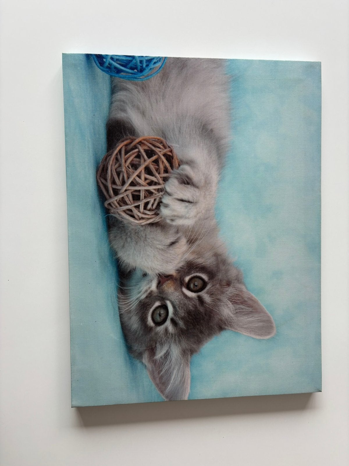 Kat op canvas, Antiek en Kunst, Ophalen, Overige materialen, Overige technieken, Dieren