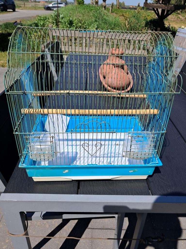 Cage à oiseaux, Animaux & Accessoires, Oiseaux | Cages & Volières, Enlèvement