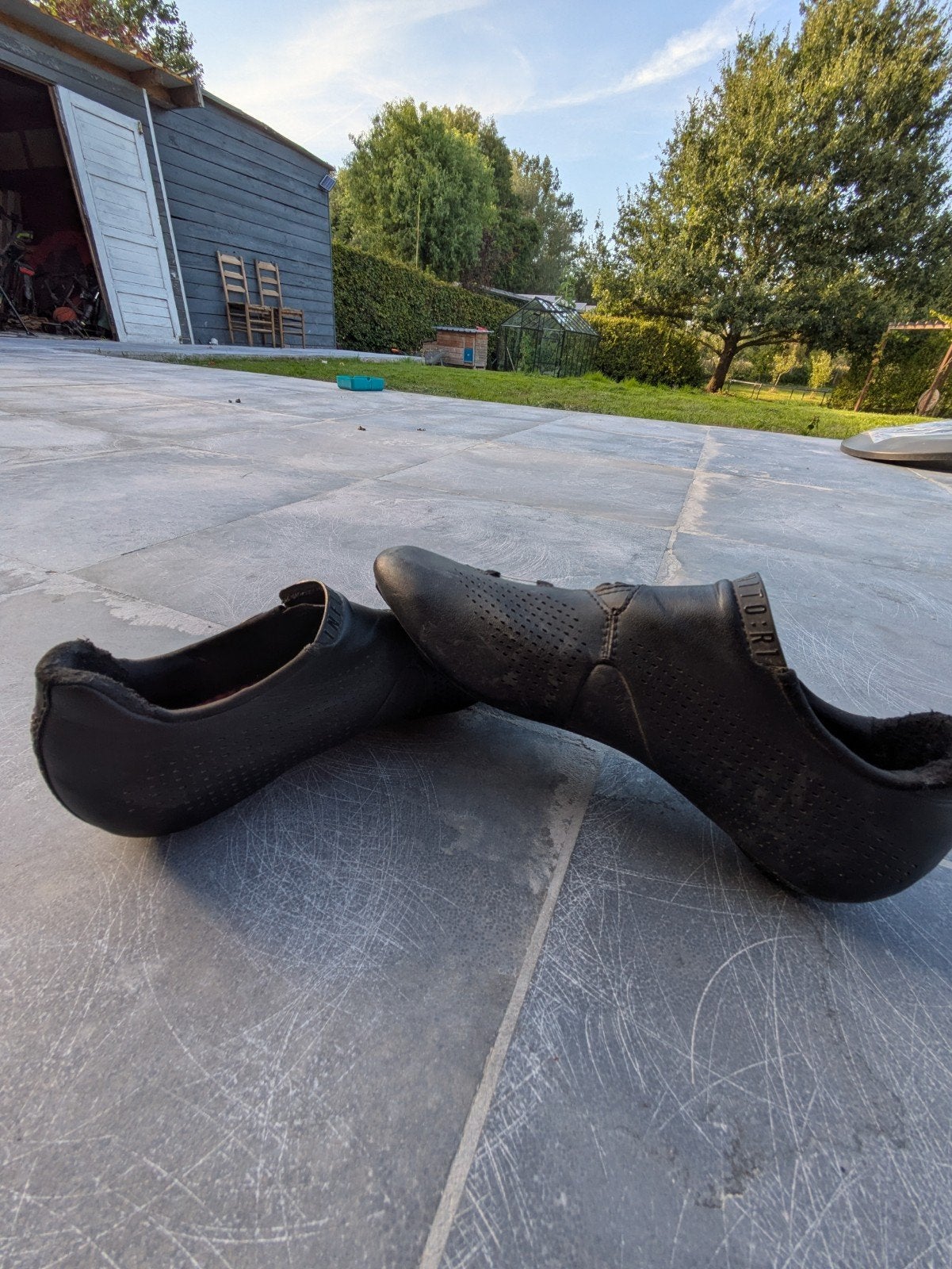 Fizik infinito carbon, Ophalen of Verzenden, Schoenen