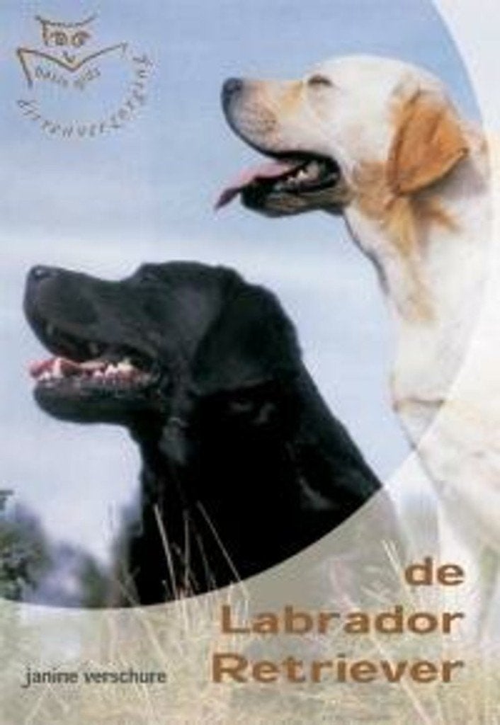 Basisgids dierenverzorging Labrador Retriever D. van Houten, Livres, Animaux & Animaux domestiques, Comme neuf, Chiens, Enlèvement ou Envoi