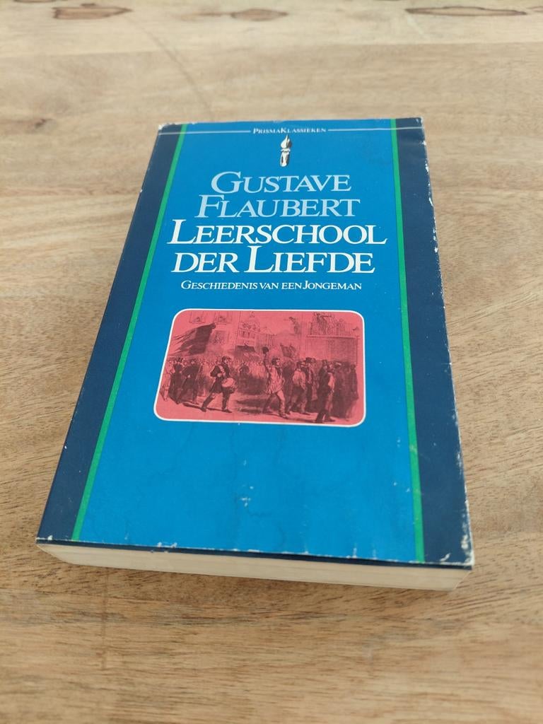 Gustave Flaubert - Leerschool der liefde, Boeken, Ophalen of Verzenden