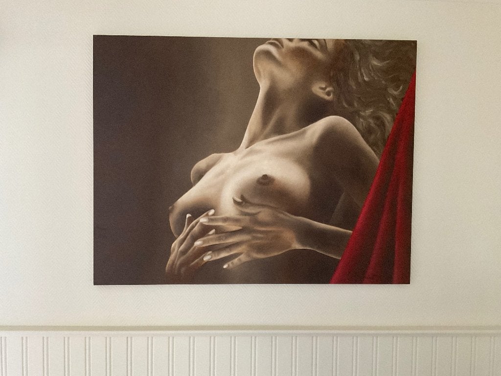 Olieverf Margrete Vanschoelant-gecertificeerd zie bijlage., Antiek en Kunst, Kunst | Schilderijen | Modern, Ophalen, Olieverf