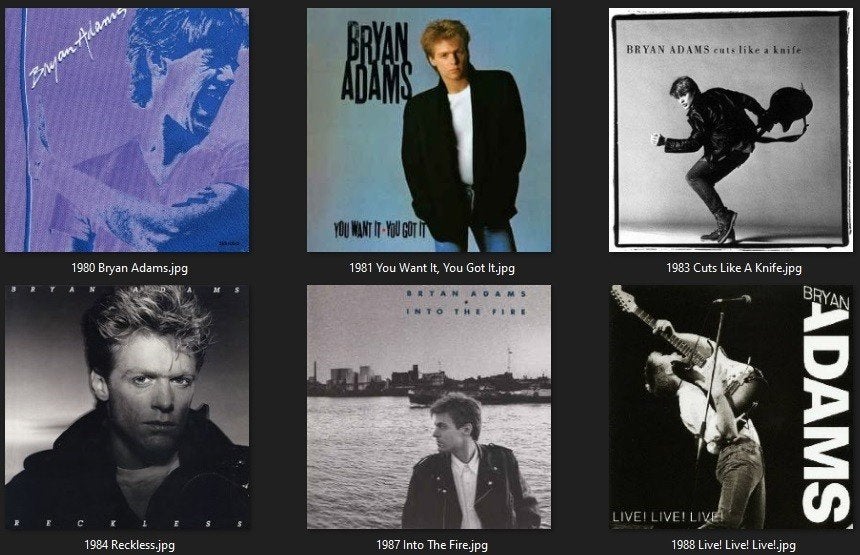 CD Bryan Adams discografie: nog 11 albums, Cd's en Dvd's, Cd's | Pop, Ophalen of Verzenden