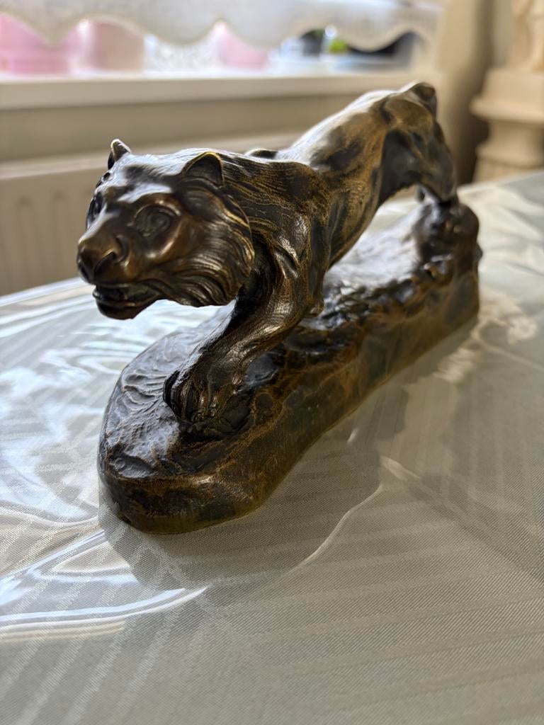 Gebruinde tijger, Ophalen, Brons