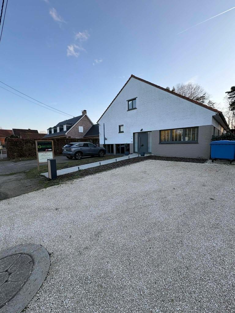 Boerderij te Gelrode, Pâturage, 2 ou 3 chevaux ou poneys