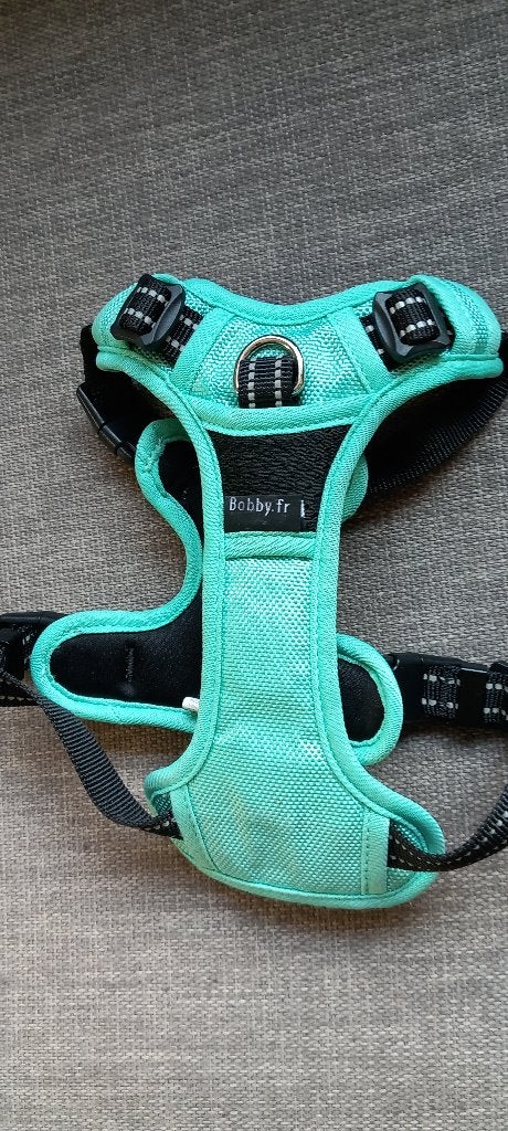 Harnais chiot, Overige merken, Ophalen of Verzenden, Zo goed als nieuw, Halsband
