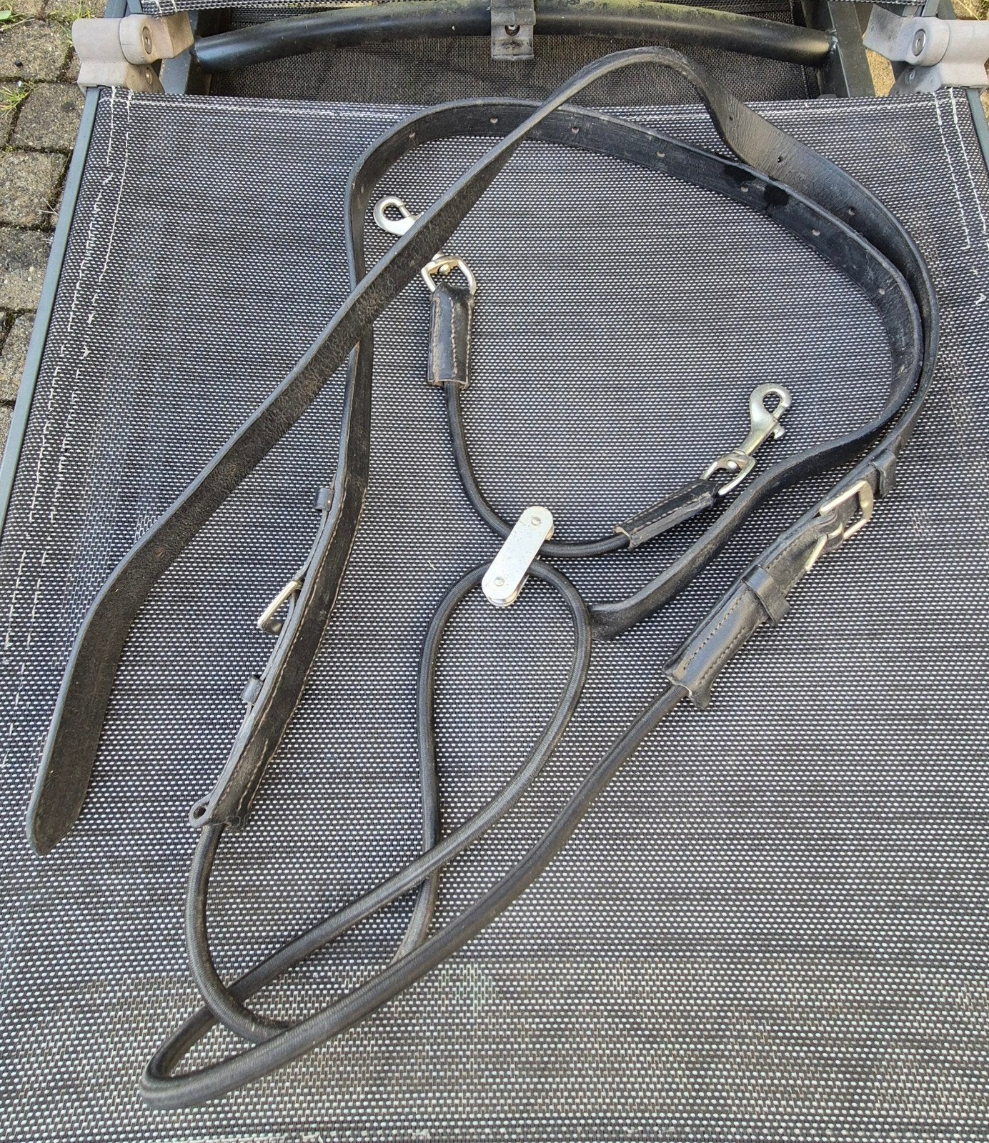 Équitation : élastiques- enrênements
