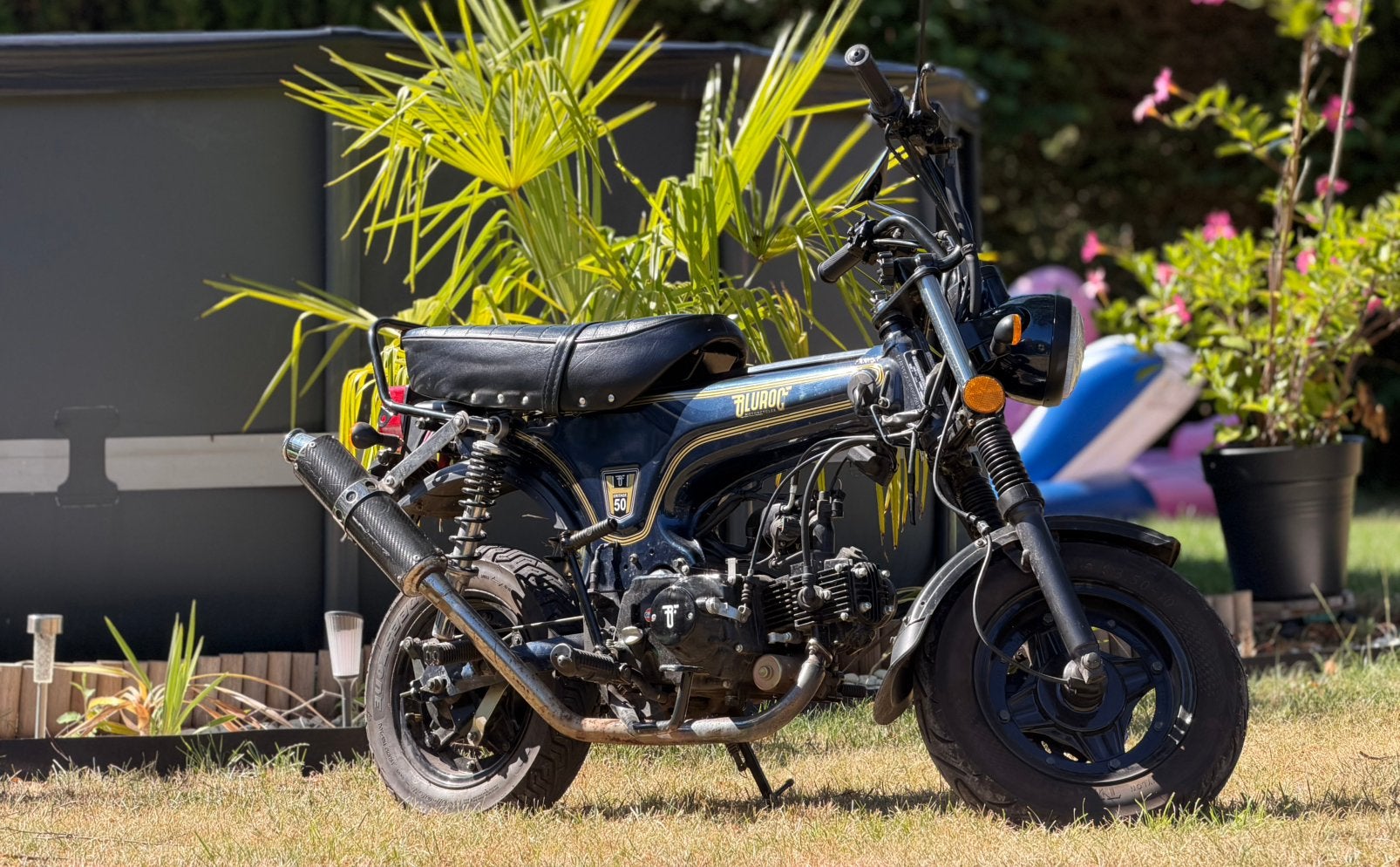 Dax classe a 25. Années 2023, 49 cm³, Comme neuf, Enlèvement, Autres types