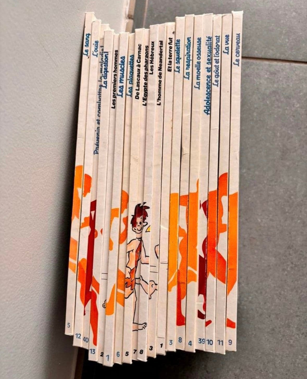 Lot de 19 livres il etait une fois la vie, Livres, Enlèvement, Comme neuf