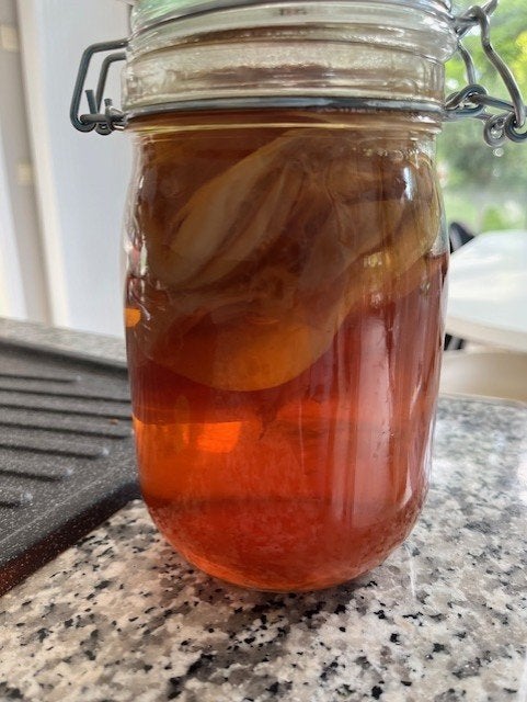 kombusha scoby en starter, Diversen, Levensmiddelen, Ophalen