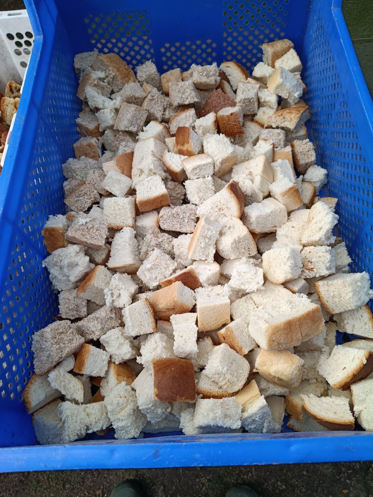 oud brood