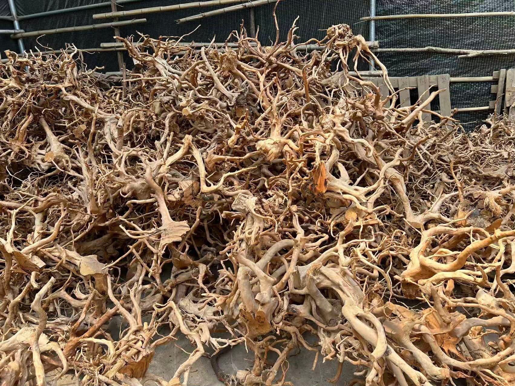 Spider wood, Dieren en Toebehoren, Reptielen en Amfibieën | Toebehoren, Nieuw, Tak, Plant, Rots of Steen, Ophalen of Verzenden