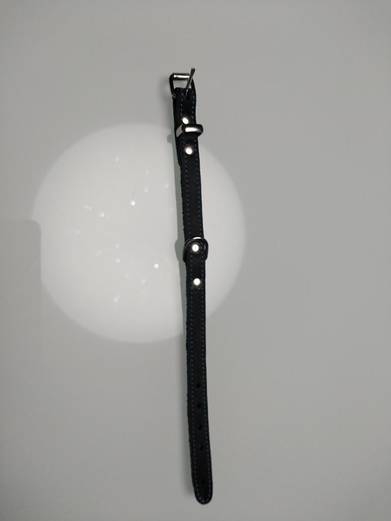 collier en cuir chat chien neuf, Enlèvement ou Envoi, Neuf