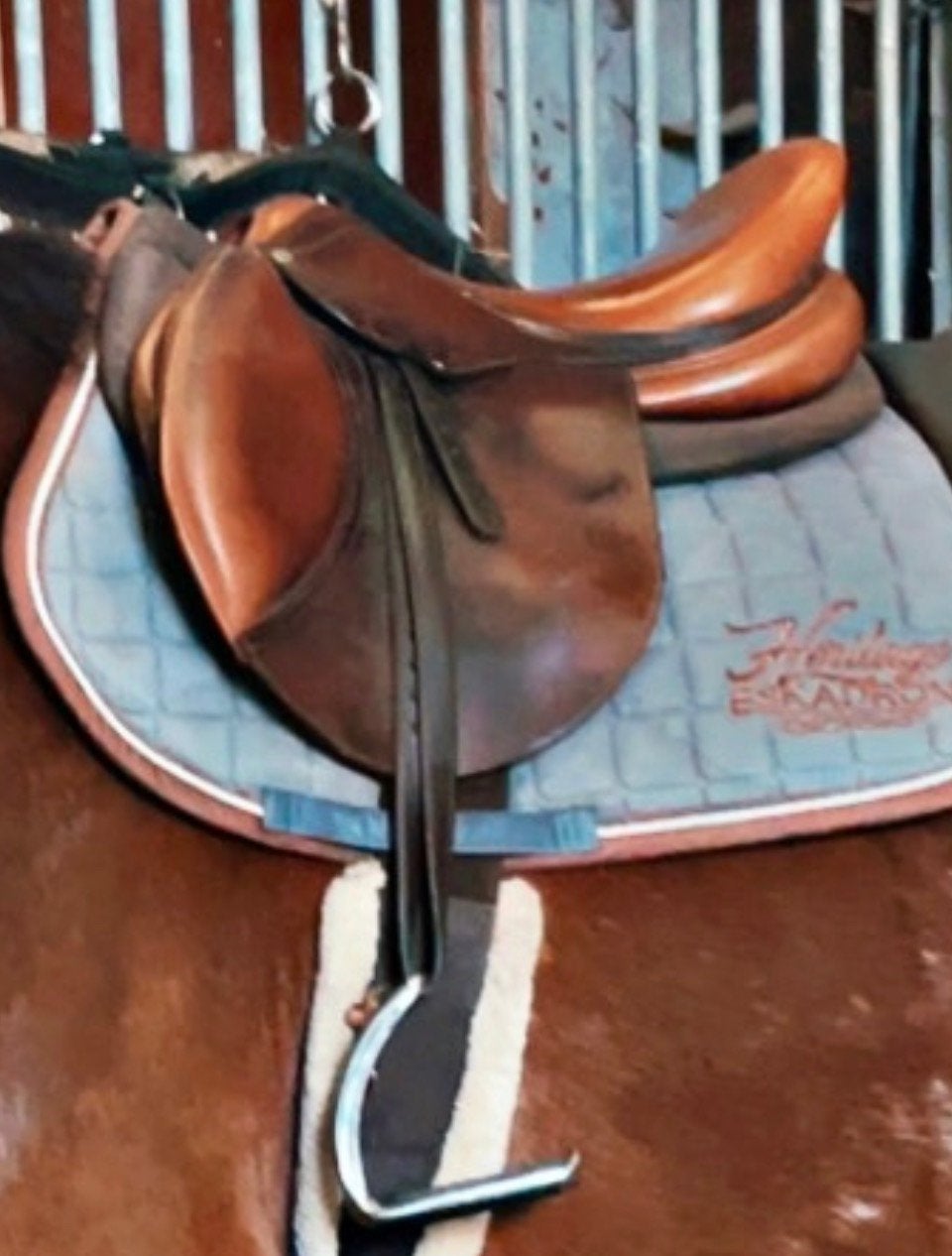 Springzadel Tolga, Dieren en Toebehoren, L (17.5 inch), Gebruikt, Wijd, Overige merken