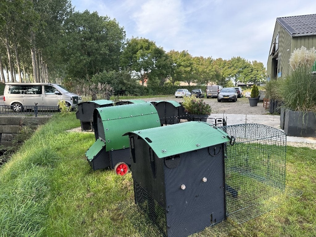 Nestera Kippenhok Large verhoogd | kunststof nachthok, Dieren en Toebehoren, Ophalen of Verzenden, Nieuw, Kippenhok of Kippenren