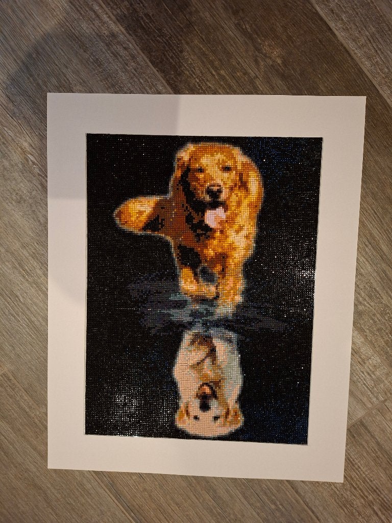 Diamond painting hond, Ophalen, Nieuw