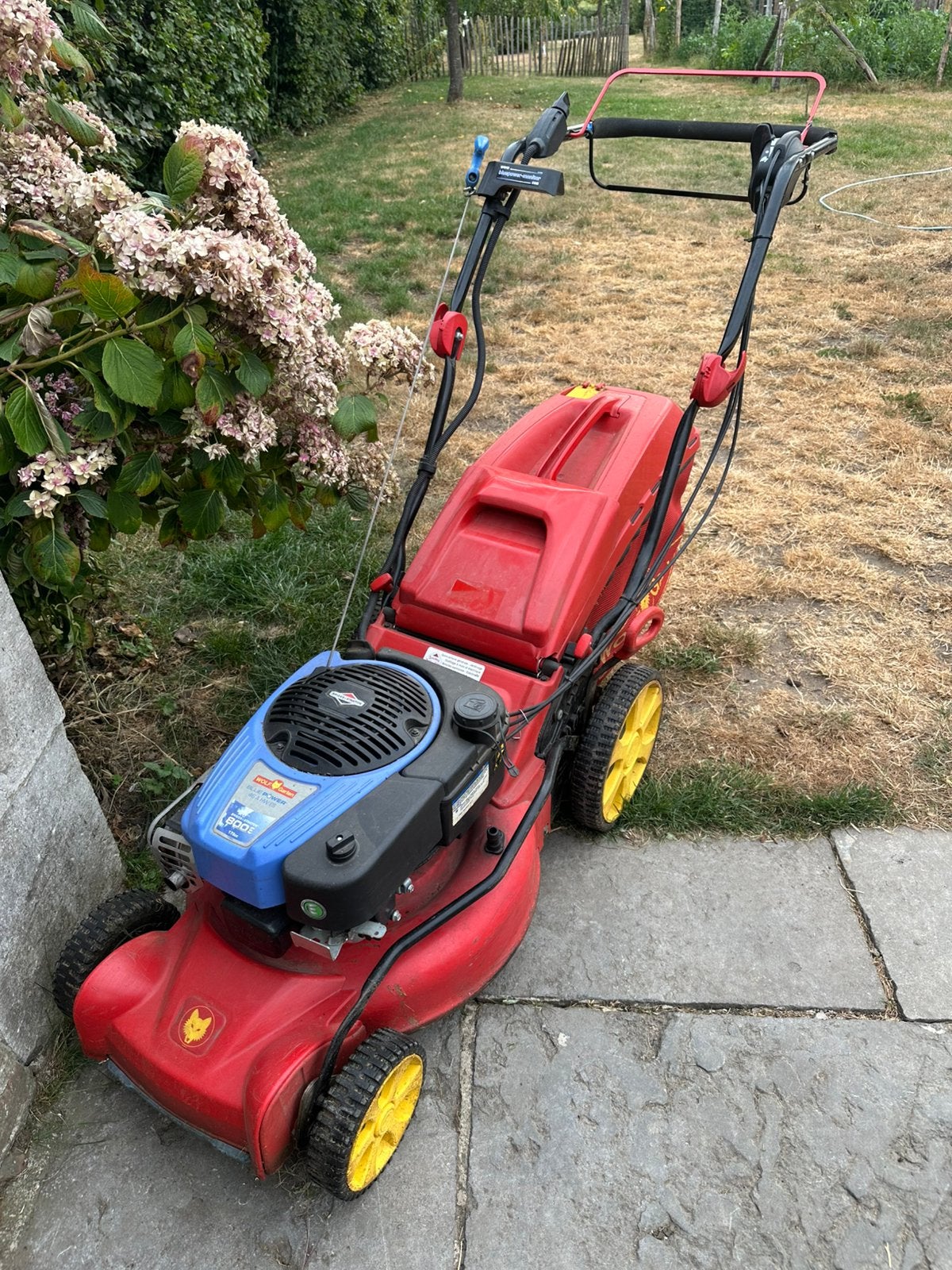 Tondeuse wolf garten  avec option mulching, Tondeuse rotative, Tondeuses à gazon à essence, 40 à 49 cm, Enlèvement