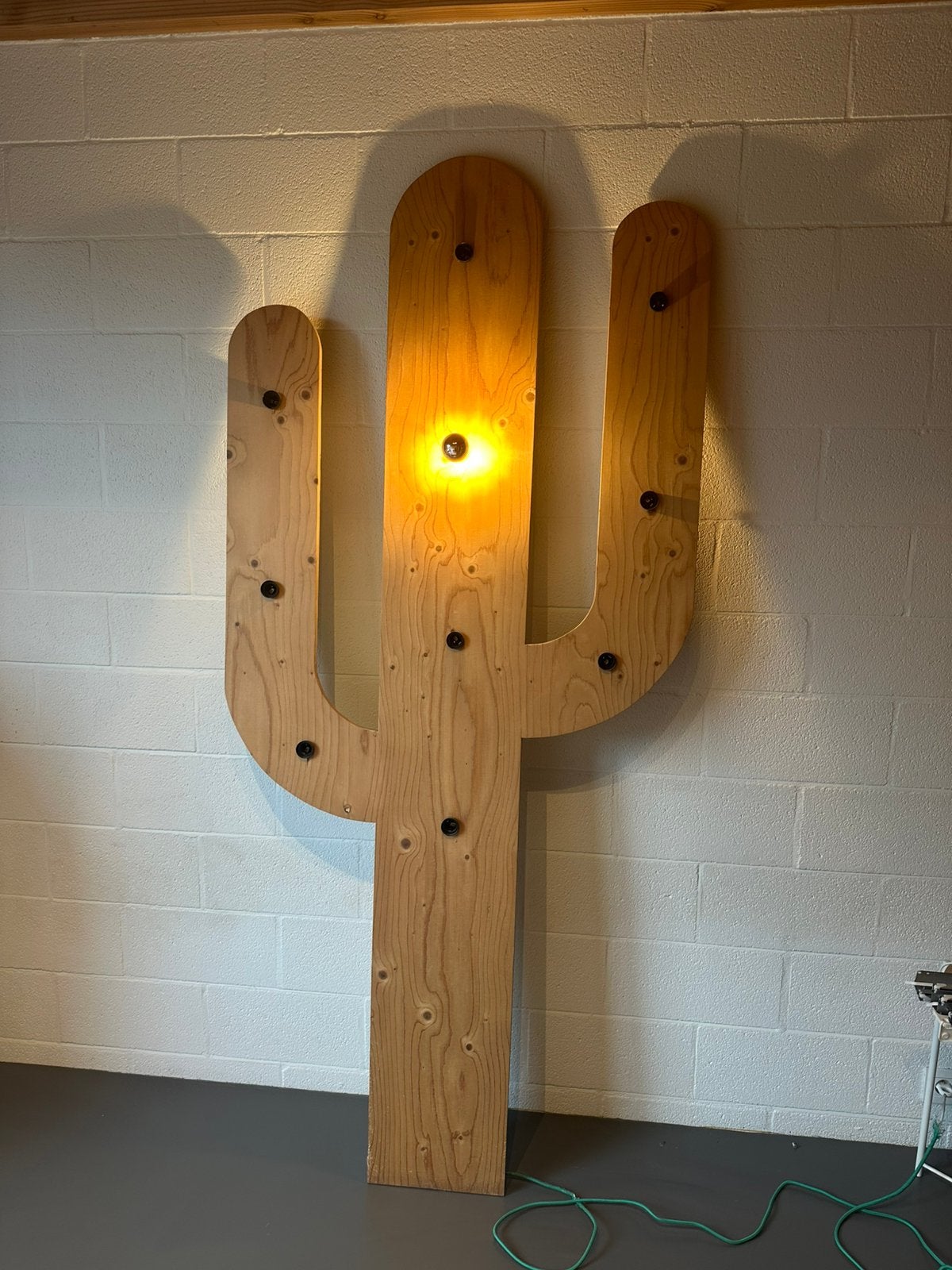 DIY Cactus sfeerverlichting, Ophalen, Gebruikt, Bruin, Overige typen