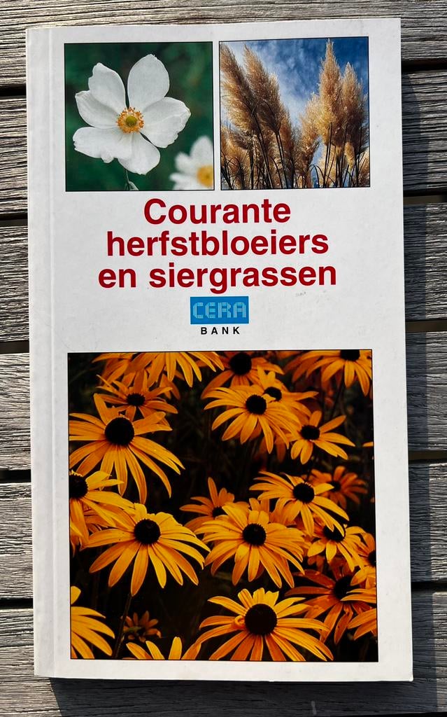Courante herfstbloeiers en siergrassen, Ophalen of Verzenden, Zo goed als nieuw