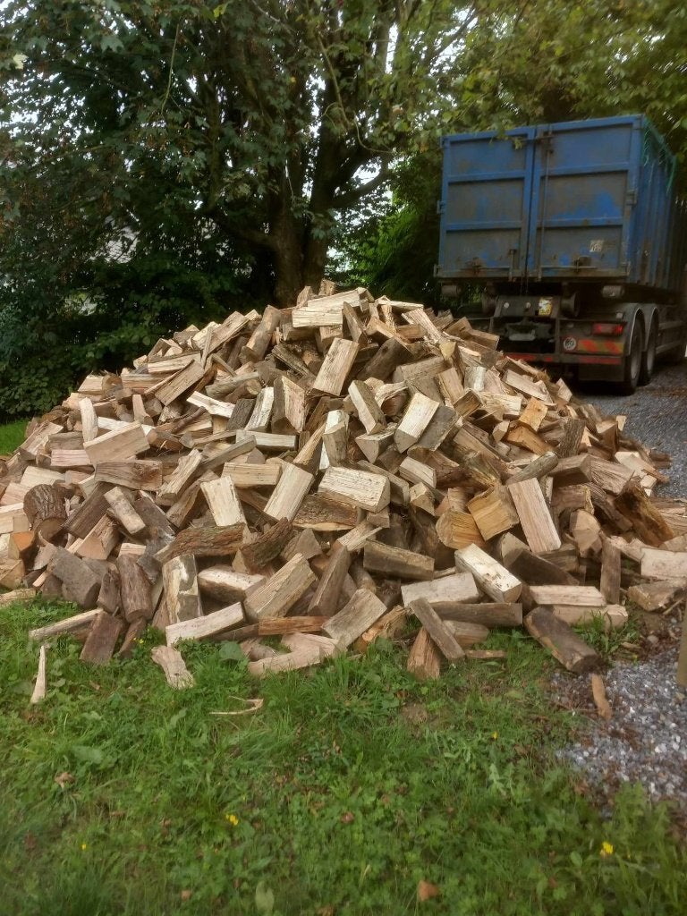Payer a la livraison Bois chauffage 2ans buches Palette-Box, 6 m³ ou plus, Envoi, Hêtre, Bûches