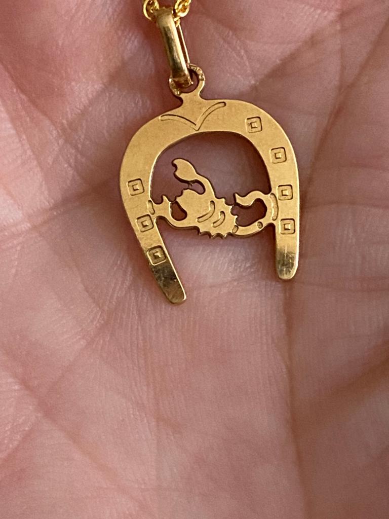 Pendentif fer a cheval en or 18k, Or, Enlèvement, Utilisé, Autres représentations