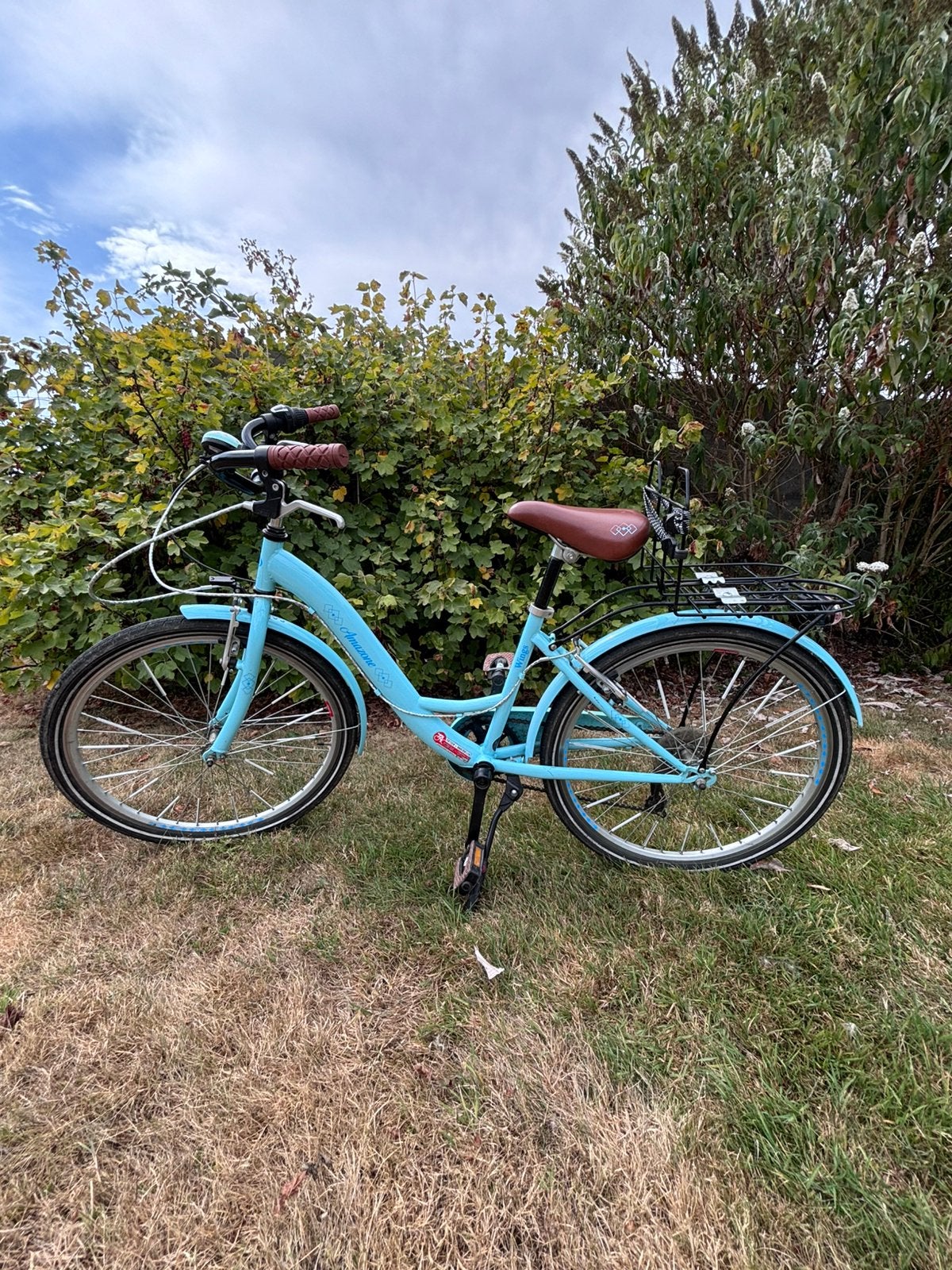 Meisjesfiets 24 inch Amazone, Vitesses, Enlèvement, Utilisé, Frein sur jante