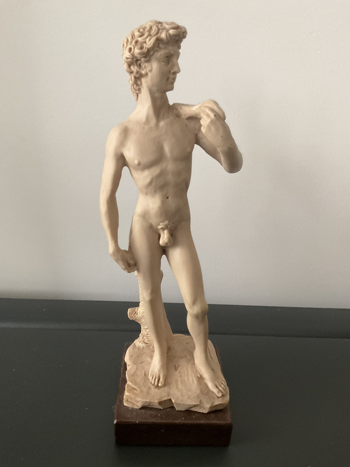 David ~ Michelangelo, Antiek en Kunst, Ophalen, Steen of Keramiek, Beeld, 20 - 50 cm