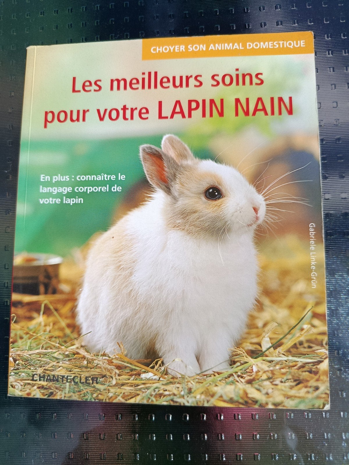 Livre Les meilleurs soins pour votre lapin nain, Ophalen