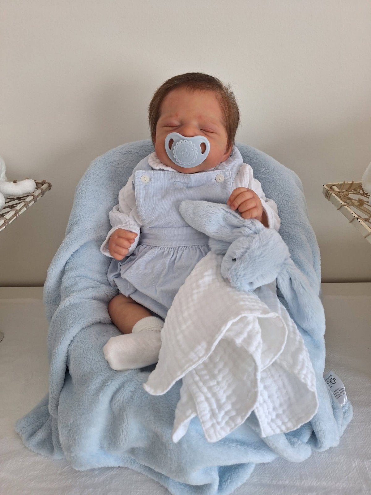 reborn pascal, Enlèvement