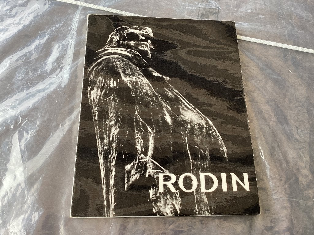 RODIN. Ionen Jainou, Boeken, Ophalen of Verzenden, Zo goed als nieuw, Beeldhouwkunst