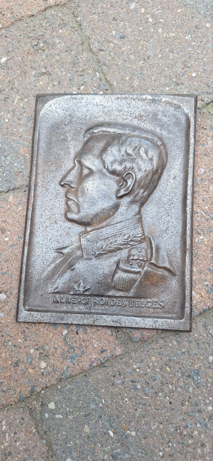 Plaque Albert 1er, Collections, Enlèvement