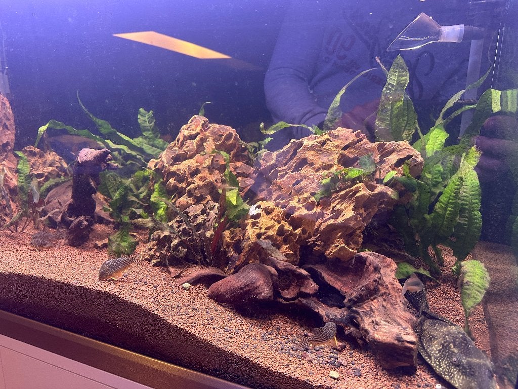 Drakenstenen/dragon stones voor aquarium ca. 38,5kg, Enlèvement, Comme neuf, Plante(s), Pierre ou Bois