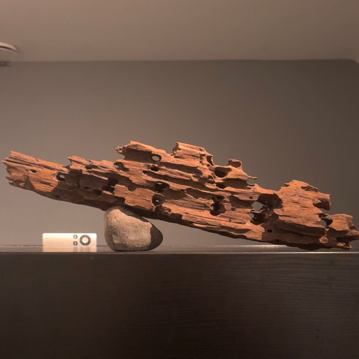 Set 2x Dragonwood Kienhout / Spiderwood, Hout Decoratie, Ophalen of Verzenden, Decoratie