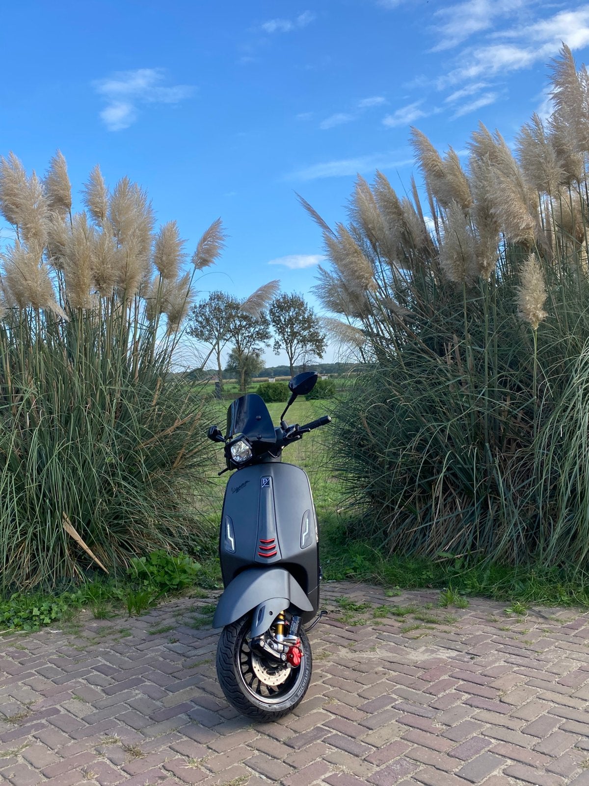 Bomvolle Vespa sprint 80 cc malossi - Akrapovic - 2016- NL, Ophalen, Piaggio, Zo goed als nieuw, Benzine