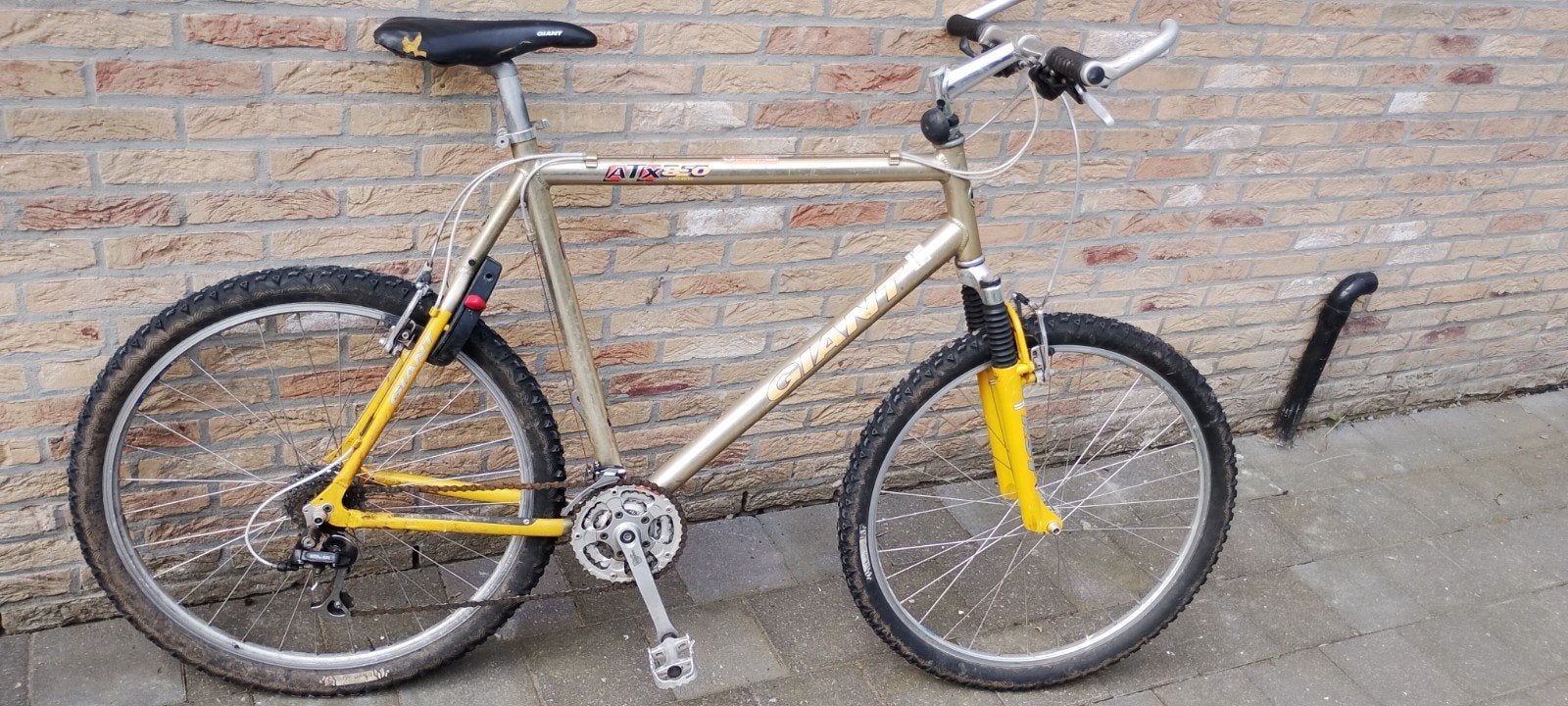 Giant  fiets, Enlèvement