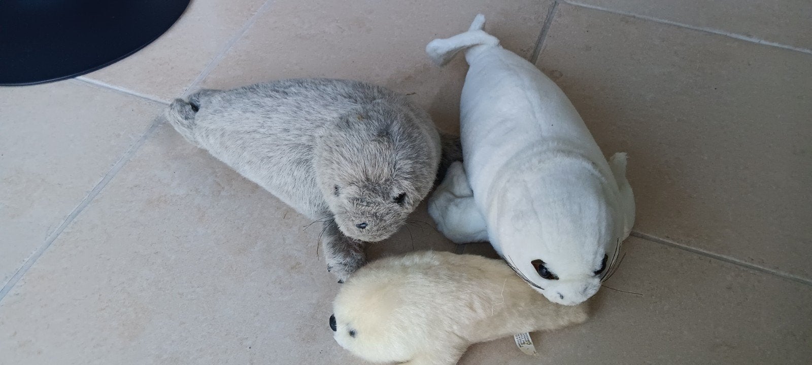 Knuffels  zeehonden 3 stuks, Ophalen, Gebruikt, Overige karakters, Overige typen