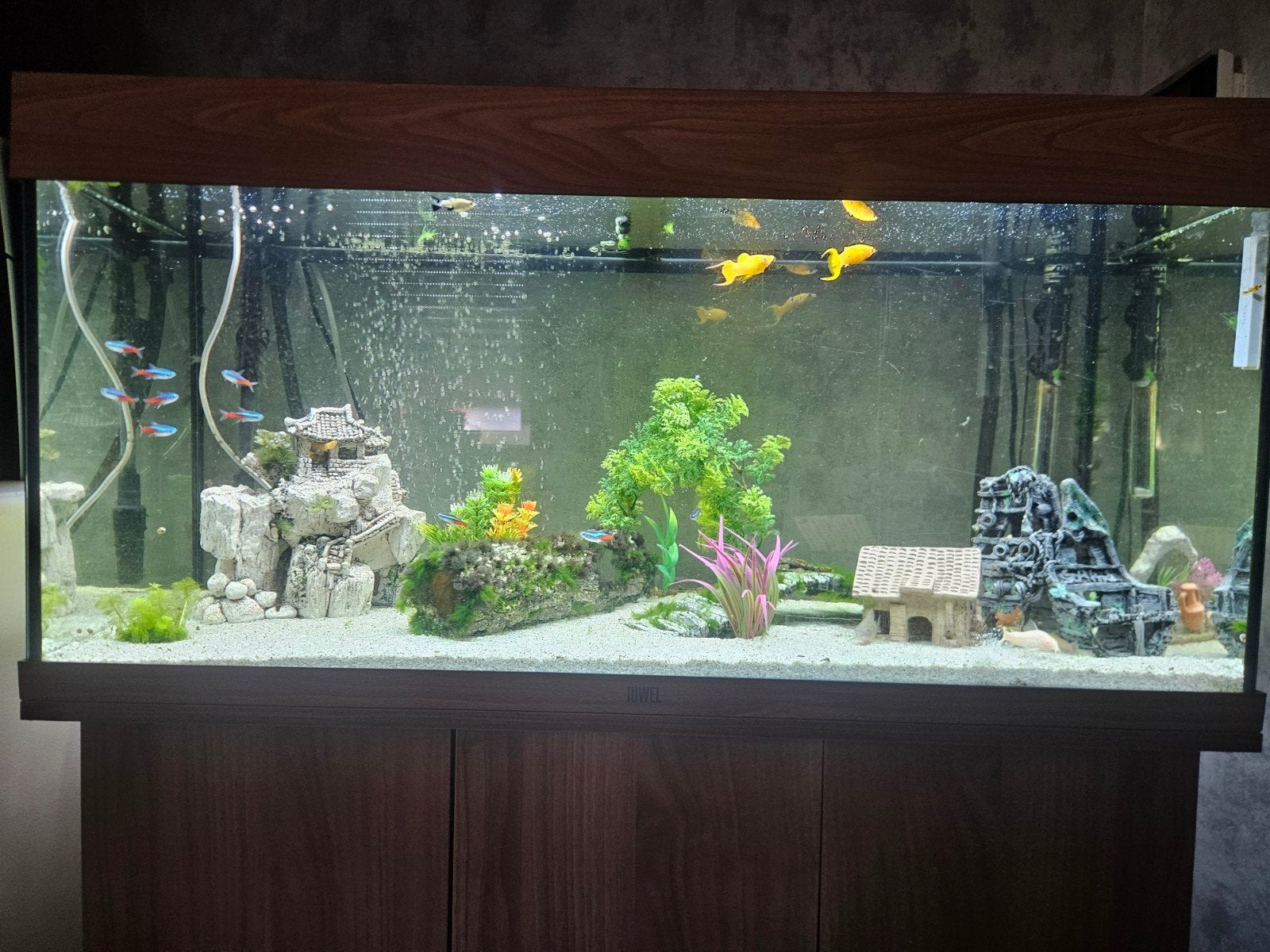 juwel aquarium 180, Ophalen, Gebruikt, Aquariummeubel, Juwel