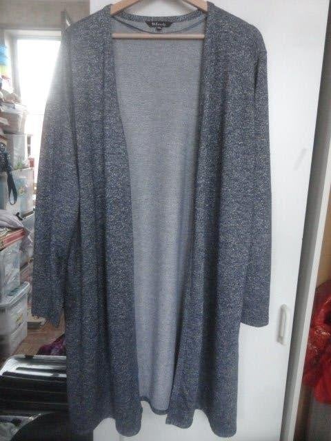 lange vest grote maat, Trui of Vest, Ophalen of Verzenden, Zo goed als nieuw, MS Mode