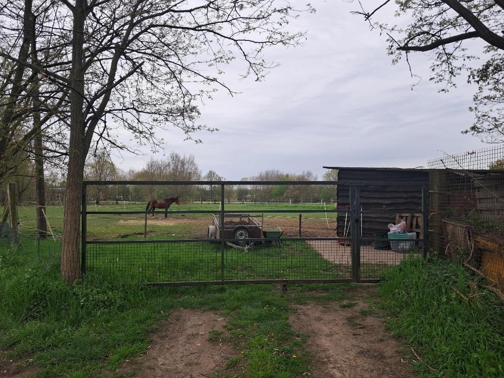 Weiland inclusief grote stal(len) te koop Eindhout-Laakdal, Immo, Gronden en Bouwgronden, Laakdal, Verkoop zonder makelaar, 1500 m² of meer