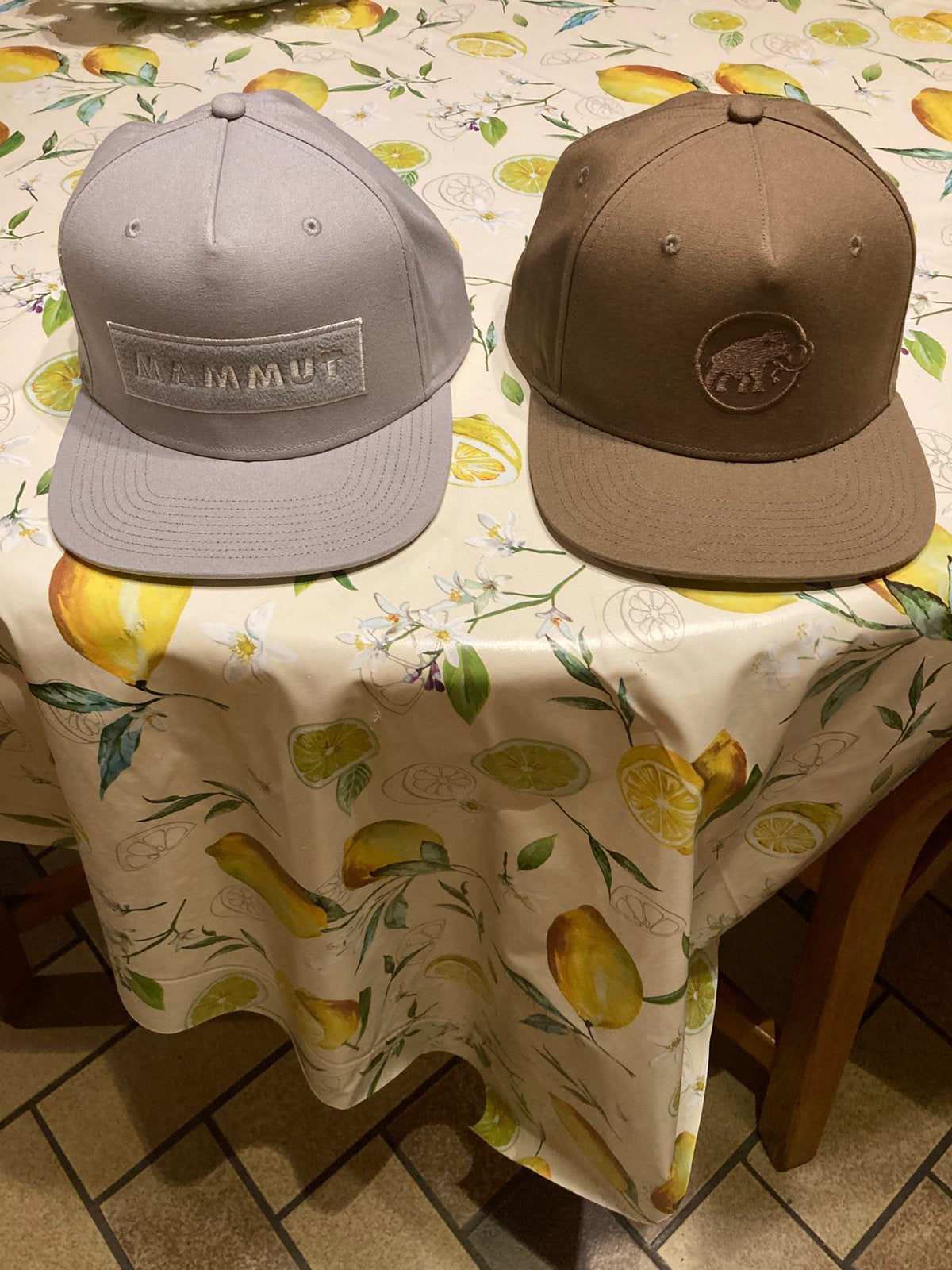 2 Casquettes Mammut  Neuf, Enlèvement, Comme neuf, Casquette