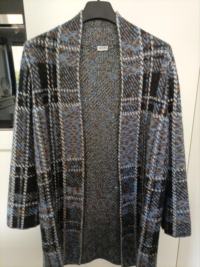 Damesgilet, Kleding | Dames, Grote Maten, Ophalen of Verzenden