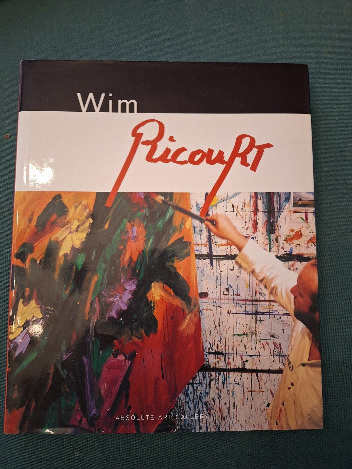 Wim Ricourt.  Ed.Art in Begium 144pp, Ophalen of Verzenden
