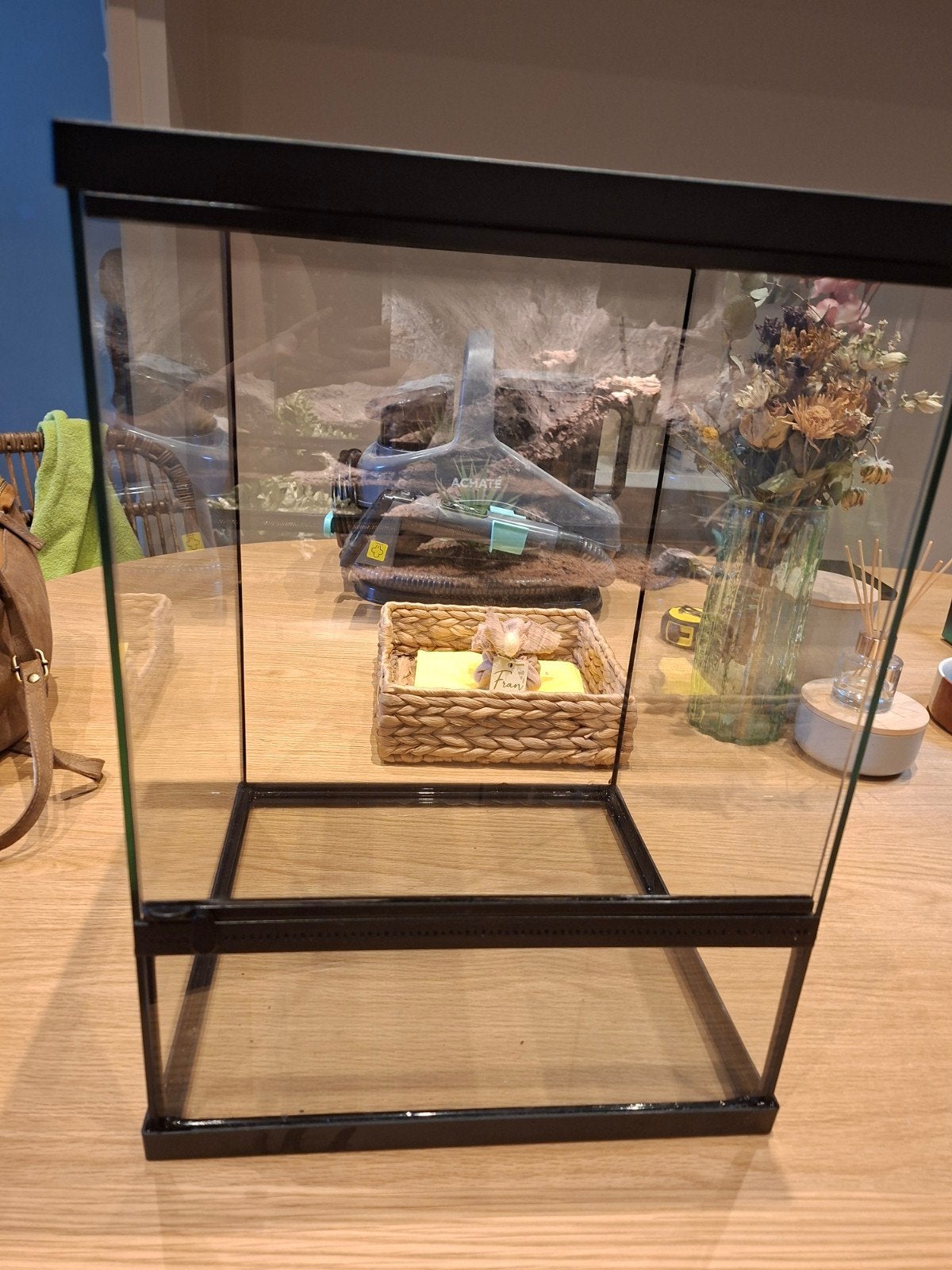 Terrarium, Dieren en Toebehoren, Reptielen en Amfibieën | Toebehoren, Ophalen, Gebruikt, Terrarium of Paludarium
