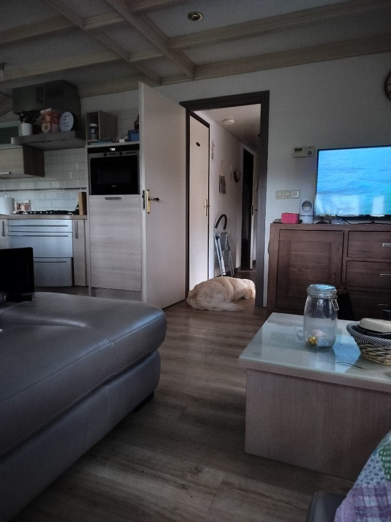 Chalet de luxe, Jusqu'à 4