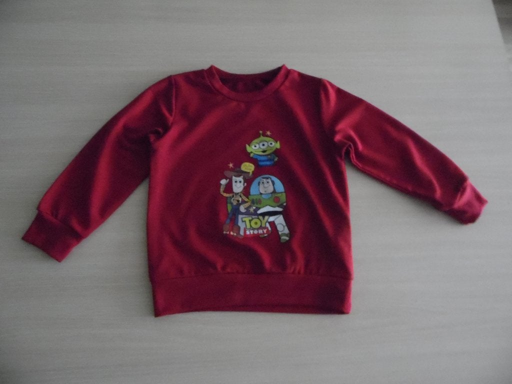 NIEUW SWEATSHIRT VAN DISNEY TOY STORY, Kinderen en Baby's, Kinderkleding | Maat 104, Nieuw, Jongen, Trui of Vest, Ophalen of Verzenden