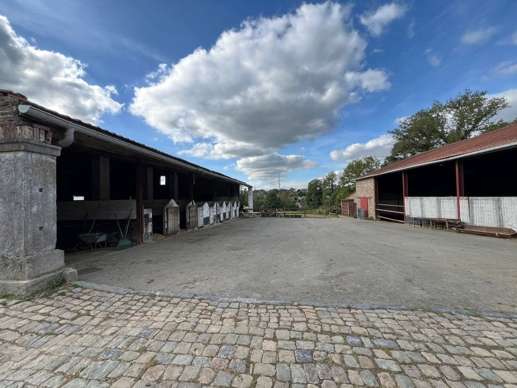 Box disponible, Animaux & Accessoires, 1 cheval ou poney