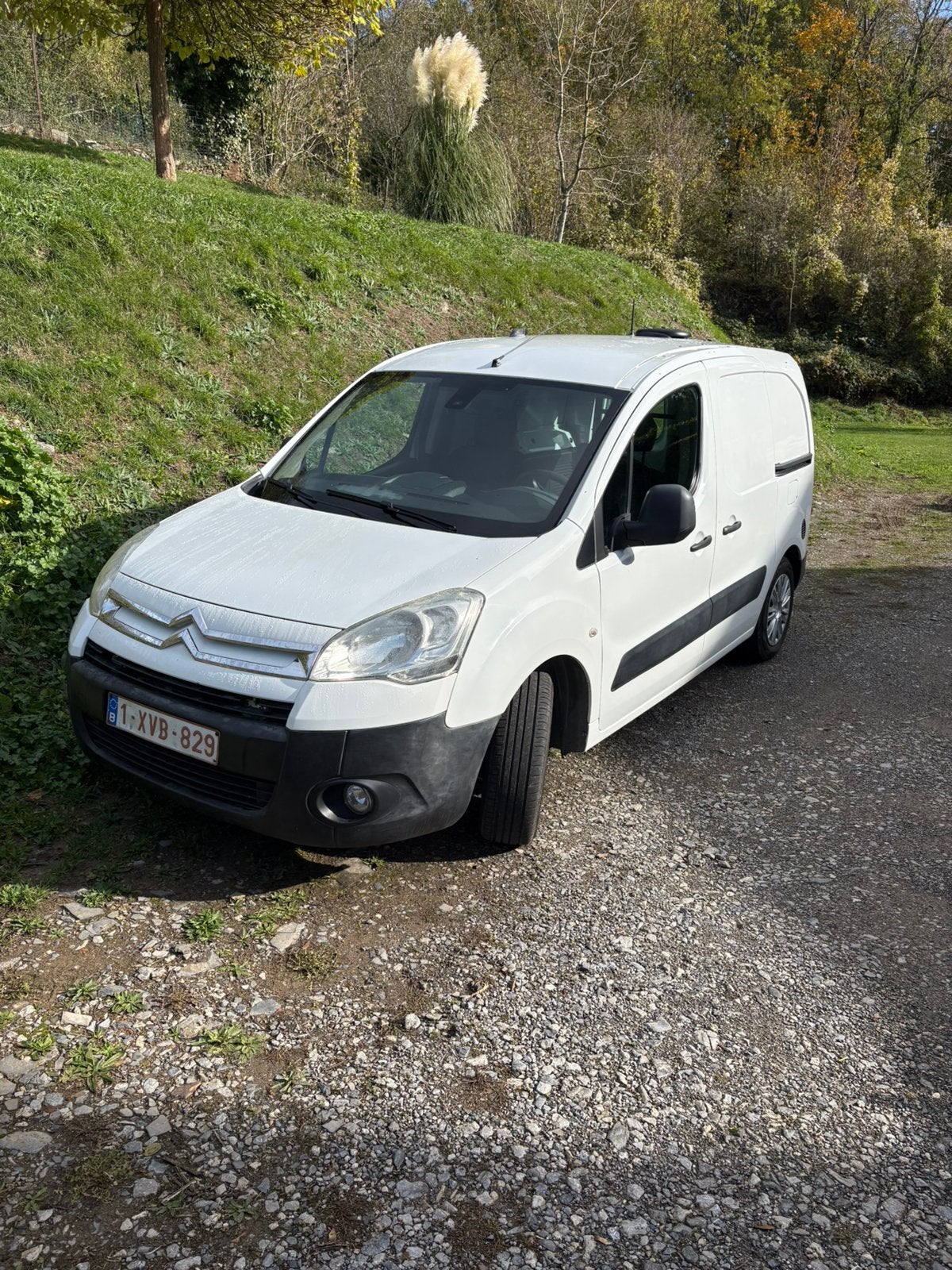 Citroën Berlingot, Auto's, Voorwielaandrijving, Zwart, 4 cilinders, Citroën