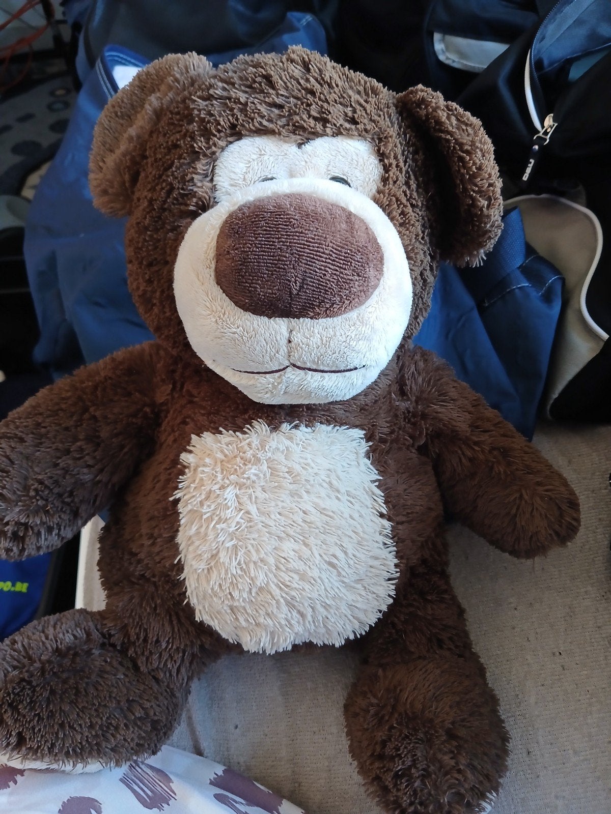 Teddybeer, Enlèvement